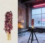 Botanical Palo Santo Ritual Sticks — 25 Blends of Sacred Wood & Botanicals - Image 32