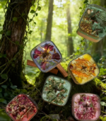Forest-light Chapters · Botanical Square Jar Candles