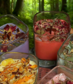 Forest-light Chapters · Botanical Square Jar Candles - Image 2