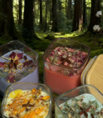 Forest-light Chapters · Botanical Square Jar Candles - Image 3